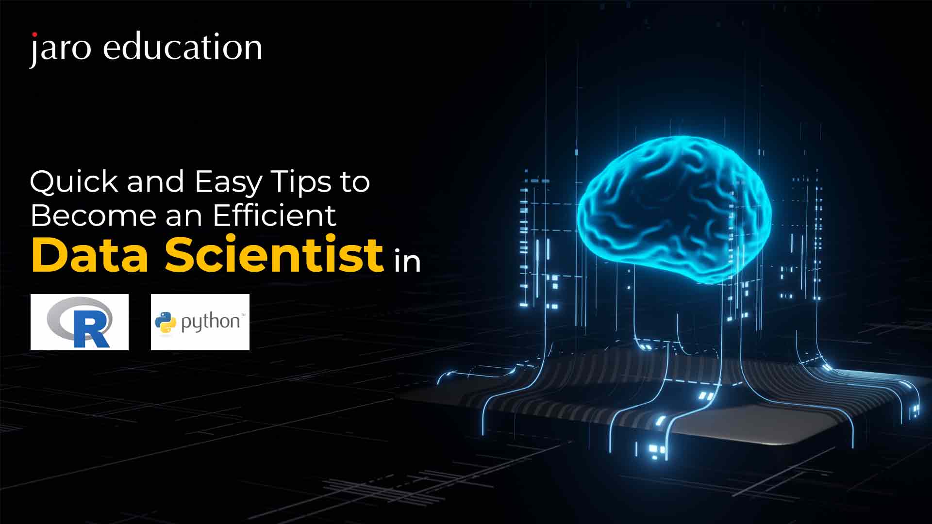 Quick and Easy Tips to Become an Efficient Data Scientist in Both Python and R Blog
