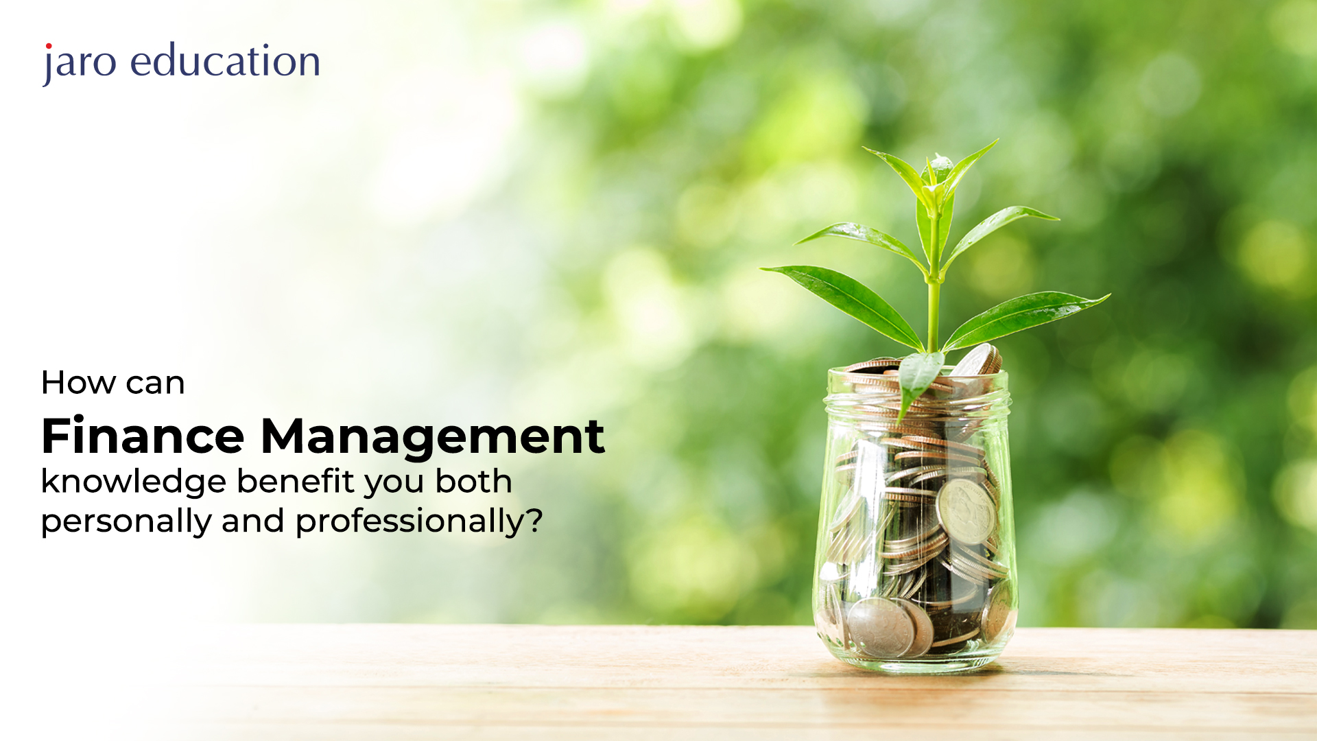 How can Finance Management knowledge benefit you both personally and professionally blog