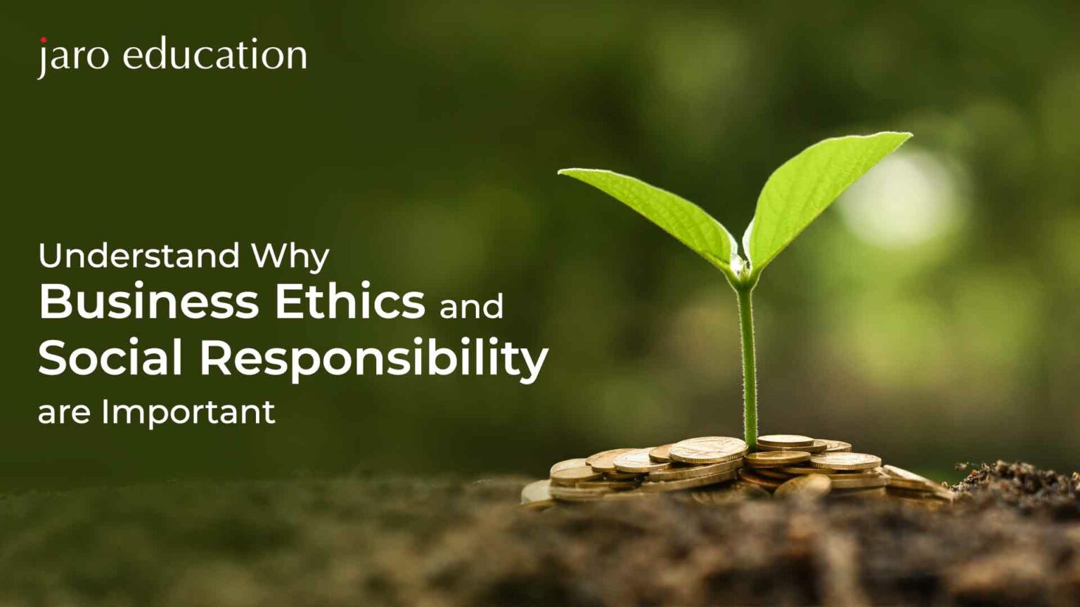 Importance Of Business Ethics & Social Responsibility | Jaro Education