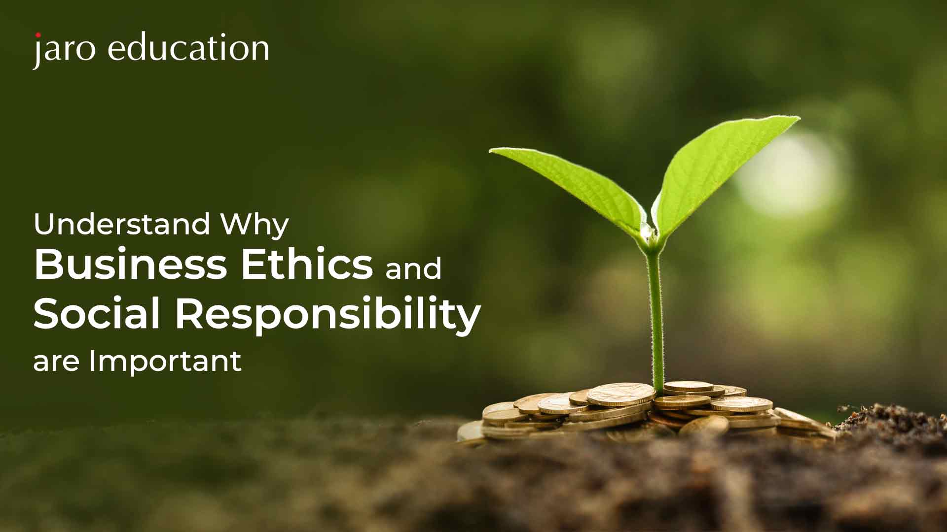 Understand Why Business Ethics and Social Responsibility are Important Blog