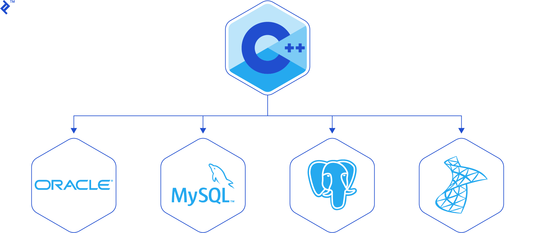 C programming’s Database