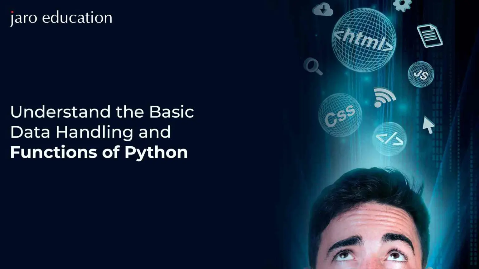 Understand the Basic Data Handling and Functions of Python