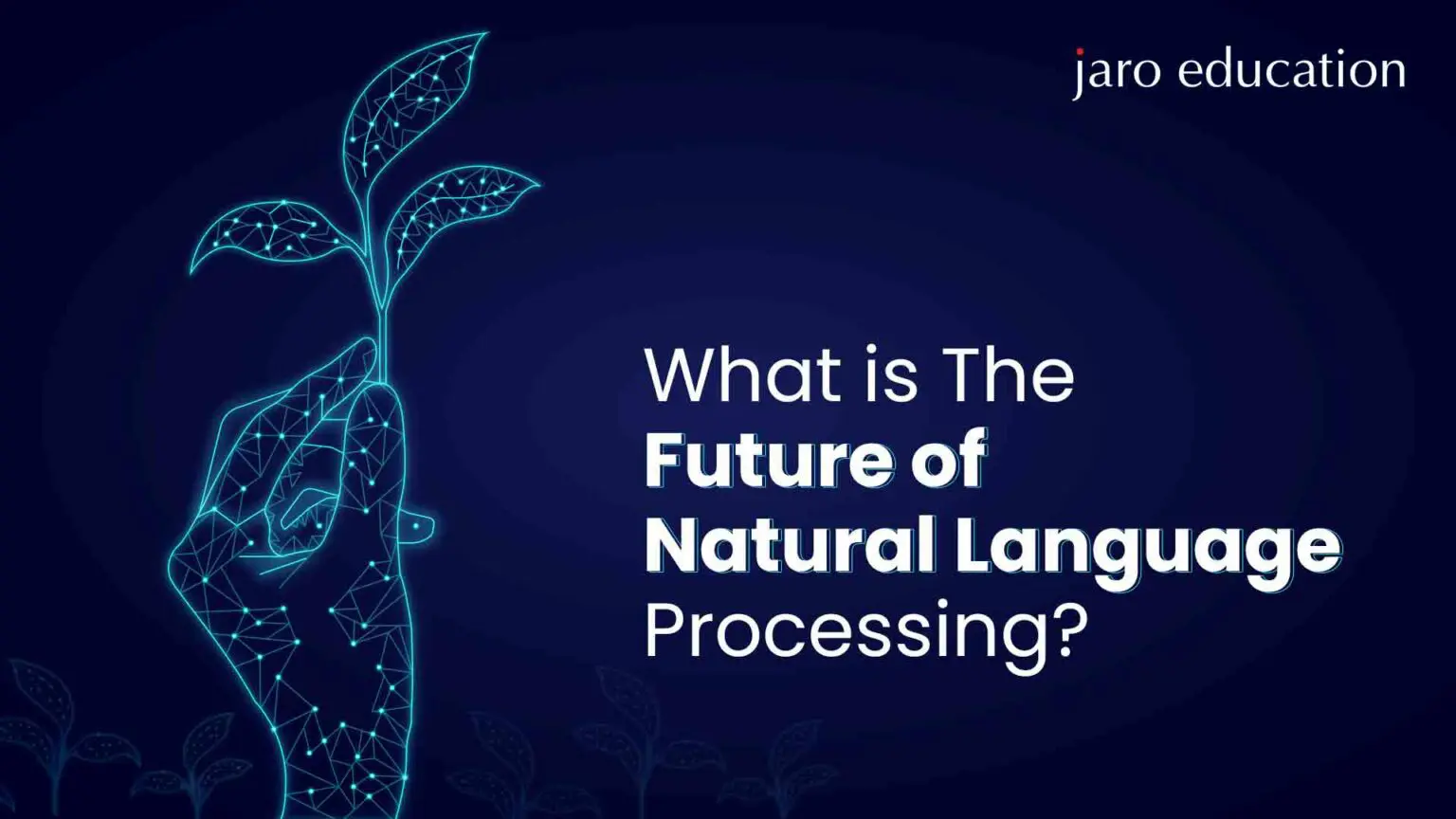 What is The Future of Natural Language Processing