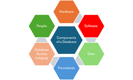 6 Components of a Database