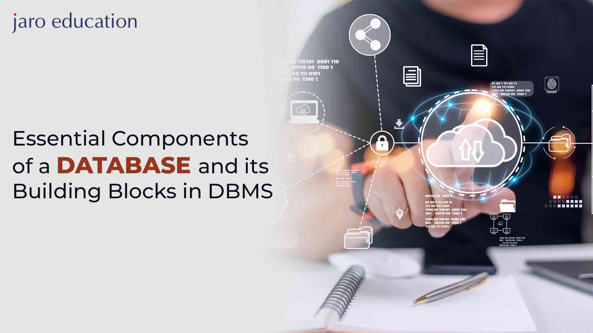 Essential Components of a Database and its Building Blocks in DBMS