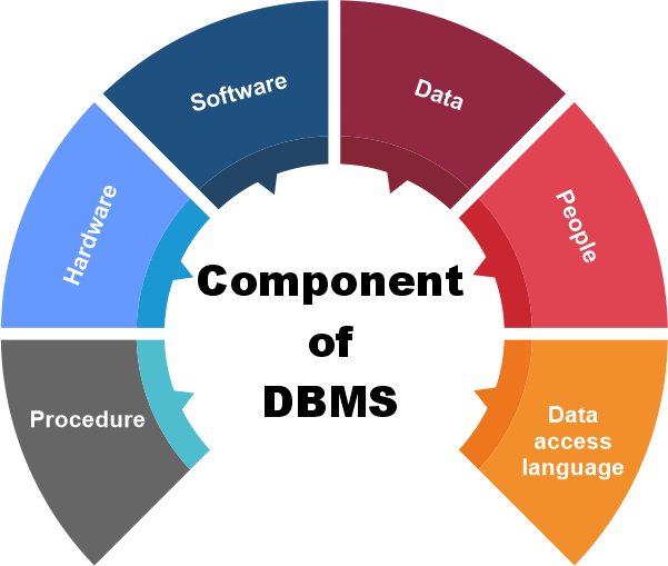 Components of DBMS