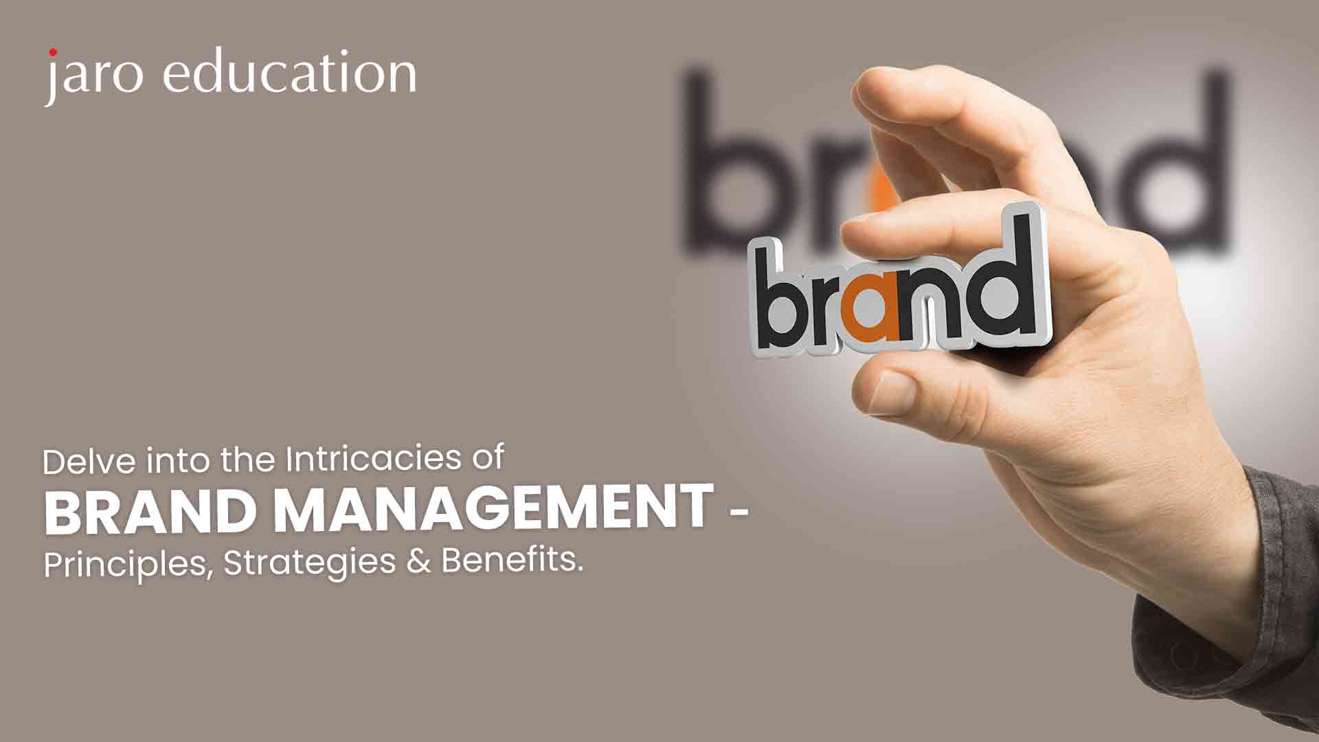Delve Into The Intricacies Of Brand Management Principles, Strategies & Benefits