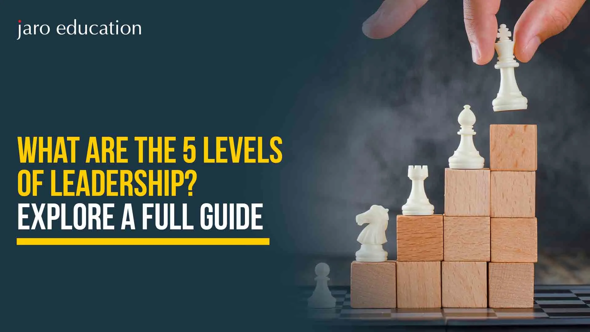 What Are the 5 Levels of Leadership? Explore A Full Guide