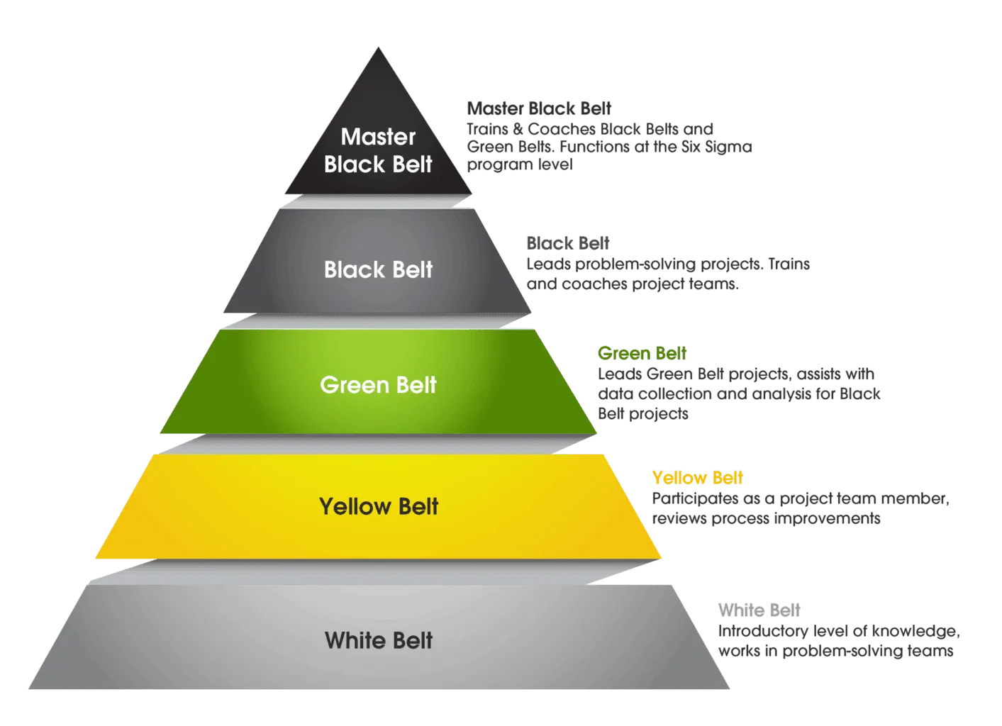 Six Sigma levels