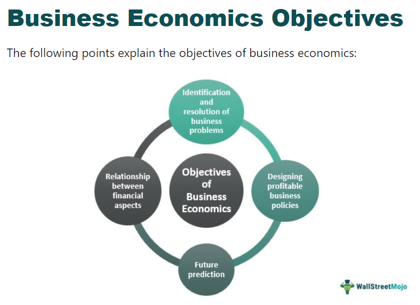 Business Economics Objectives