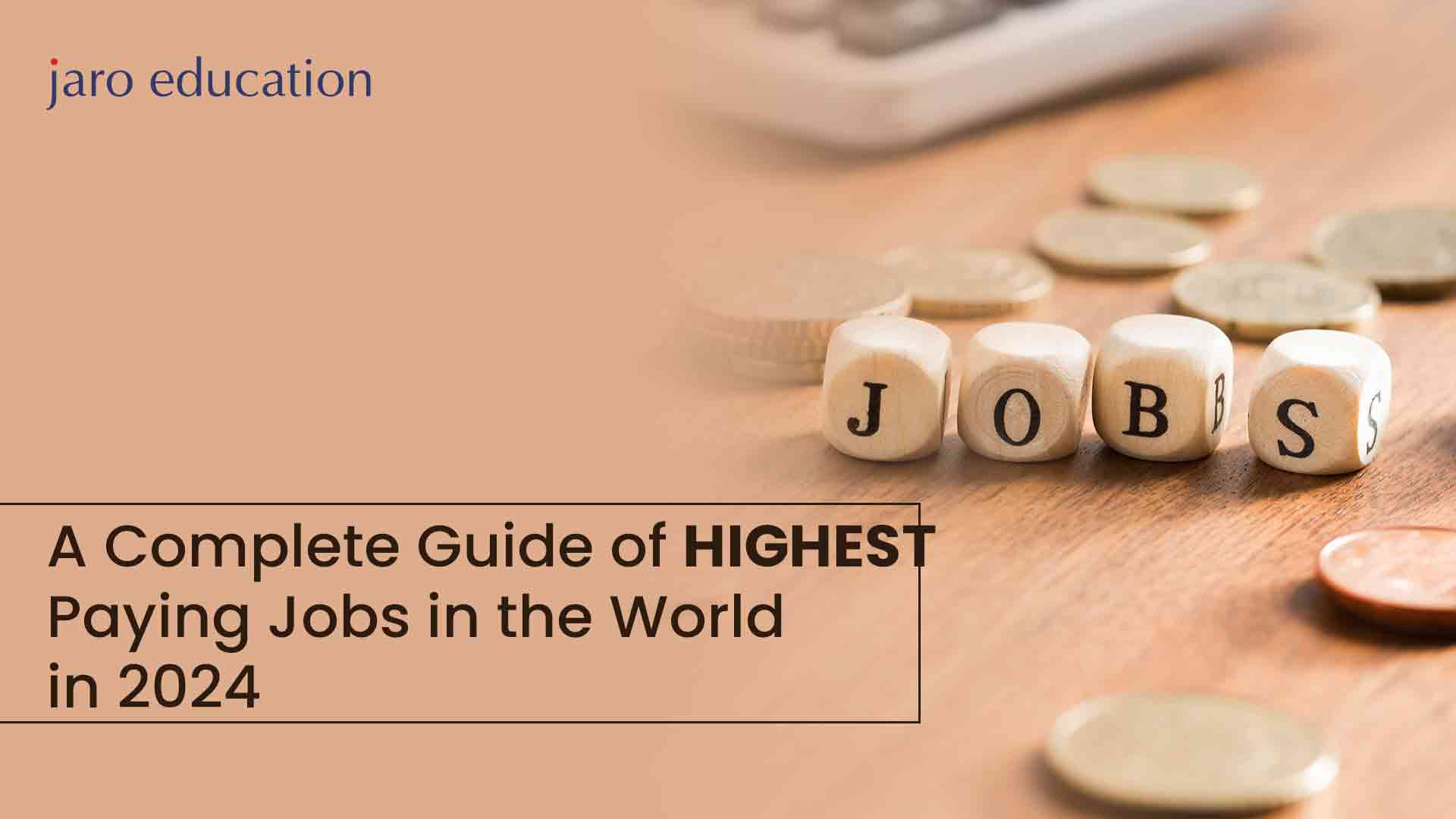 A Complete Guide of Highest Paying Jobs in the World in 2024