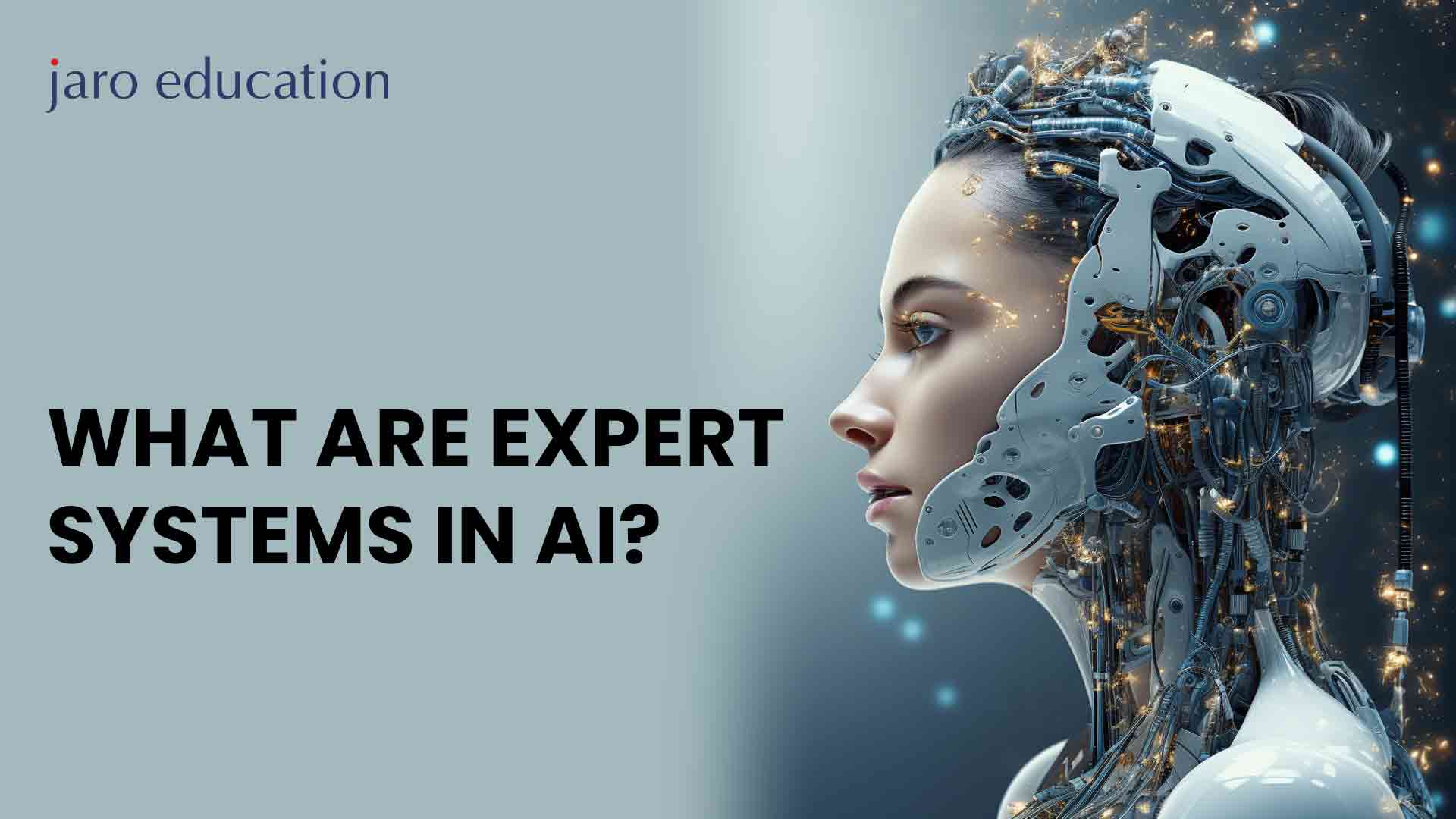 What are Expert Systems in AI
