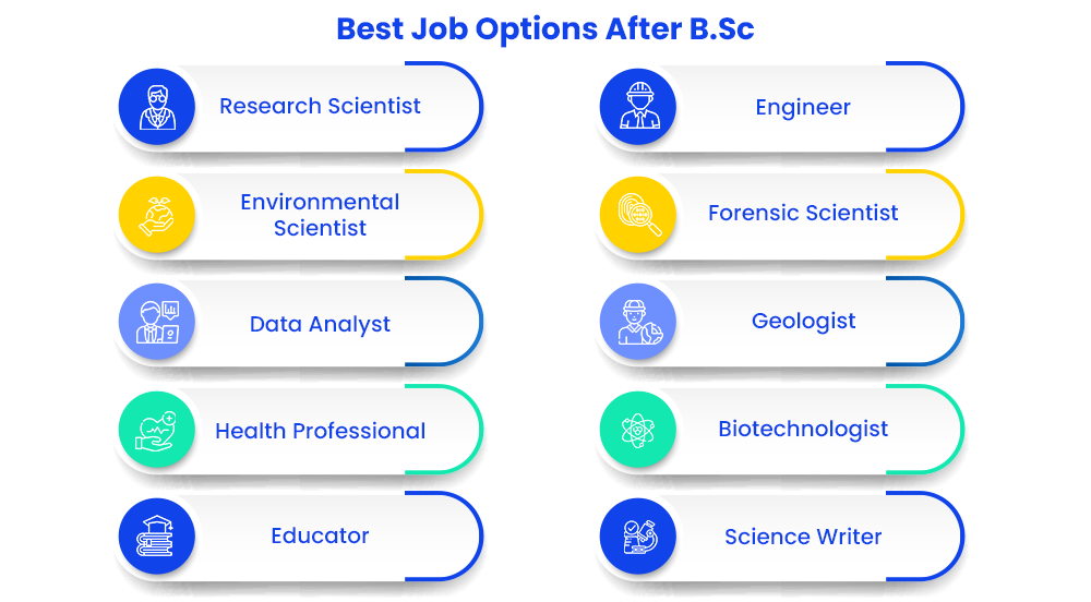 job options after bsc