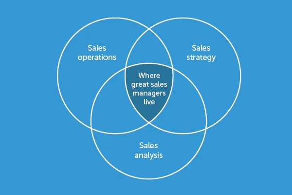 Essentials of ideal sales management