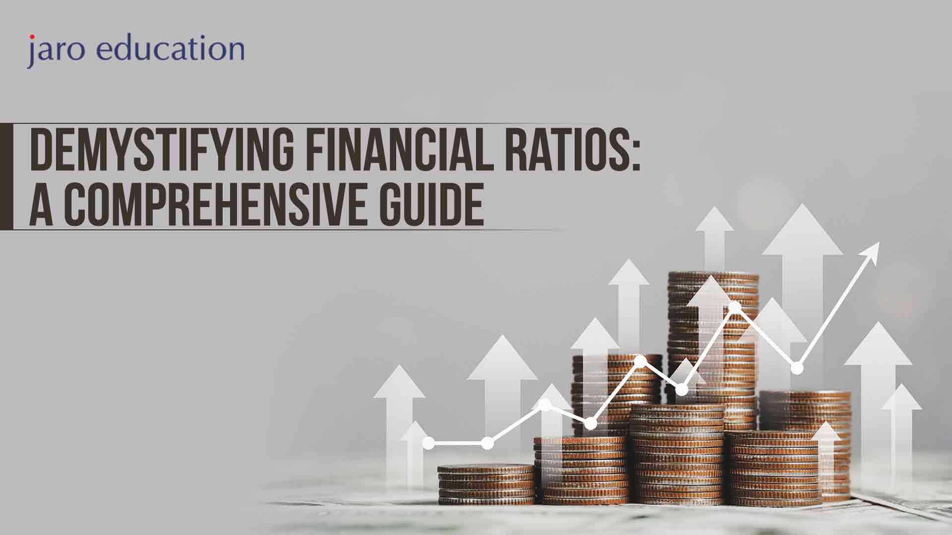 Demystifying-Financial-Ratios-A-Comprehensive-Guide