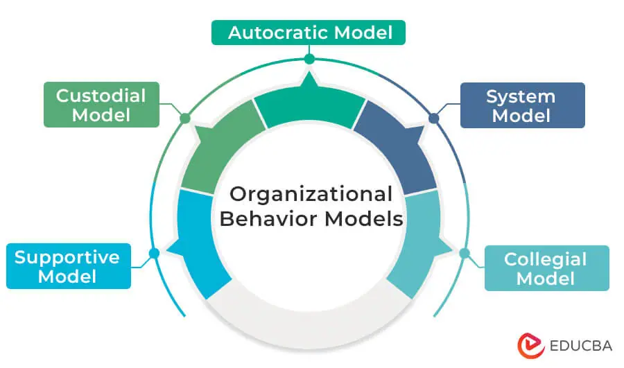 Types of organizational behavior Types of organizational behavior