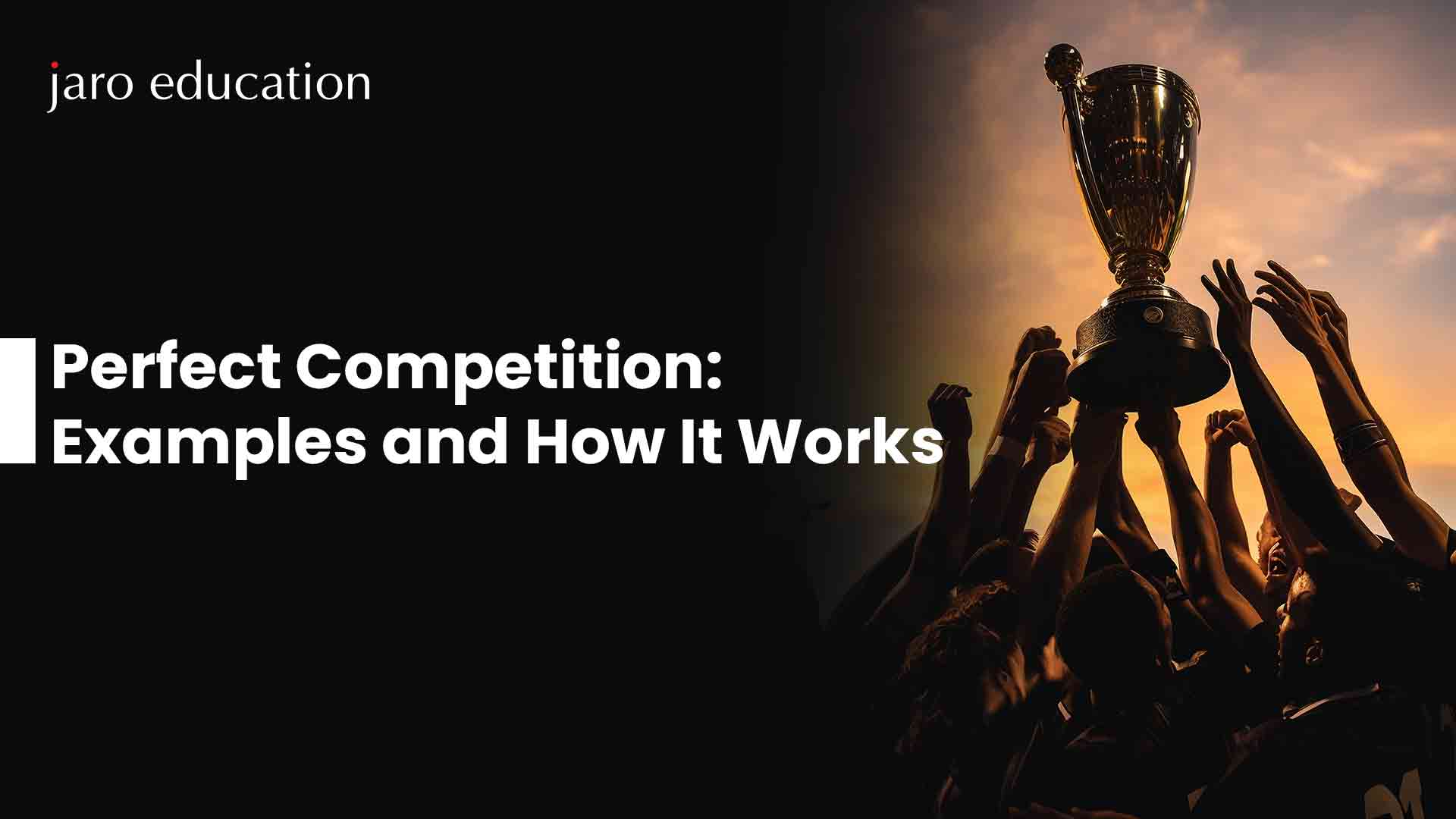 Perfect Competition: Examples and How It Works [2024]