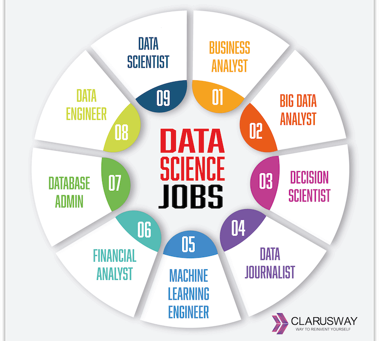 Top 9 Data Science Jobs & Roles in 2024