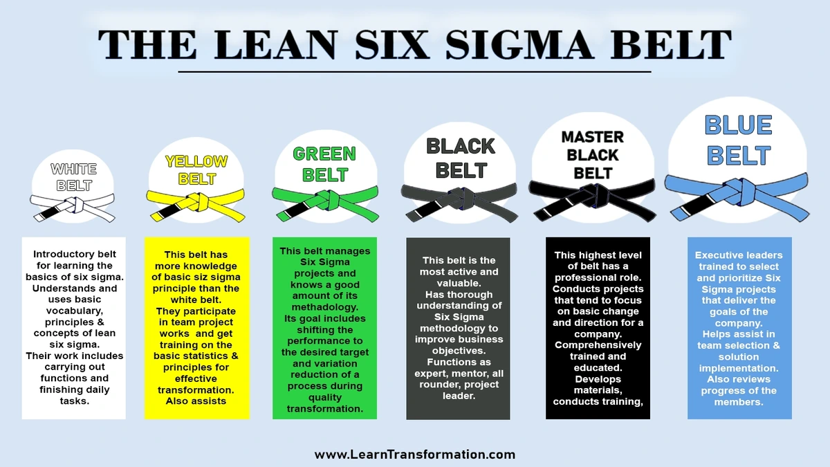 Six Sigma Concept Belts