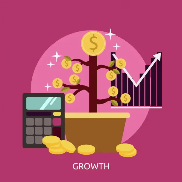 Capital Budgeting for Business Growth