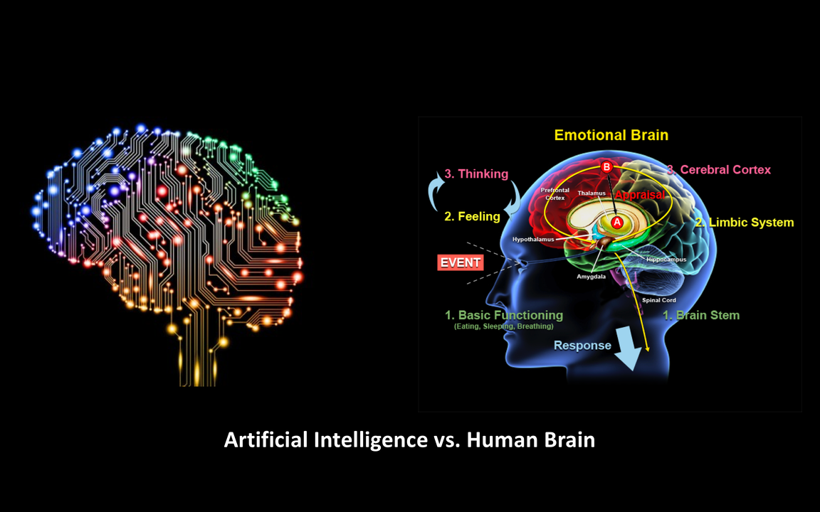 Difference Between AI And Human Intelligence