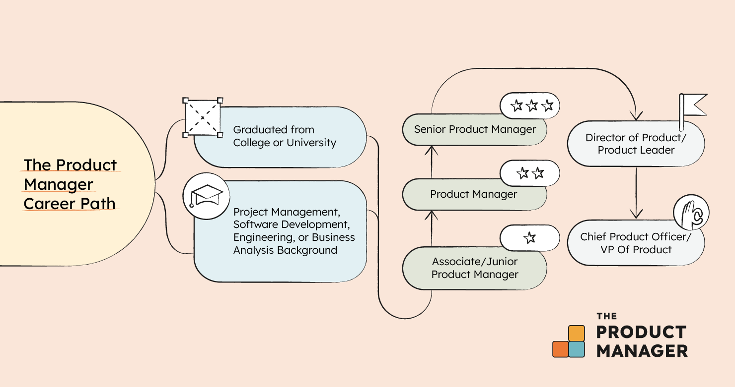 career trajectory to become a cpo