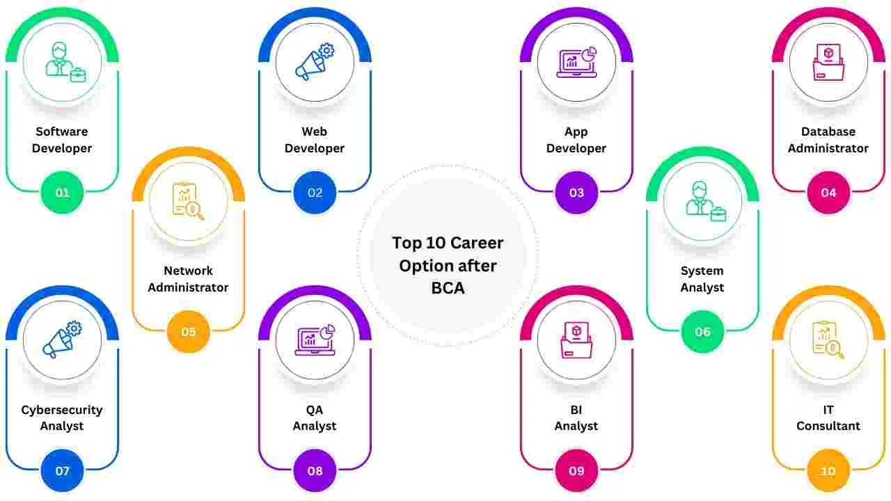 Career Options After an Online BCA