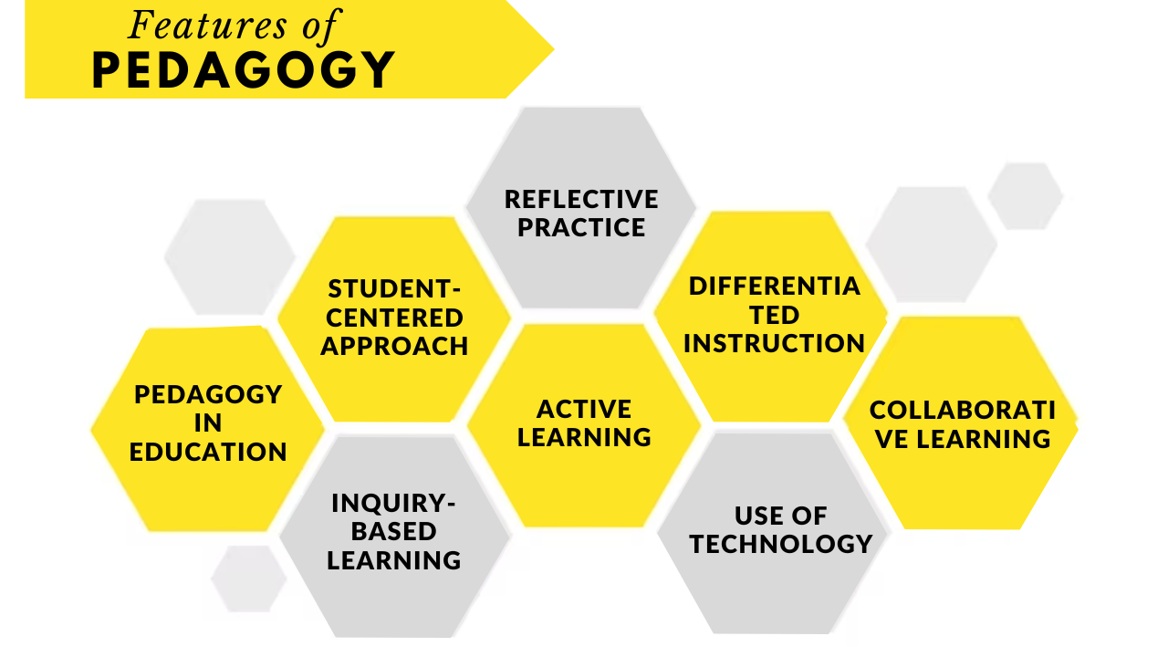 Features of Pedagogy