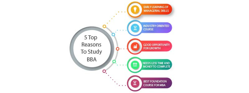 5 Top Reasons To Study BBA