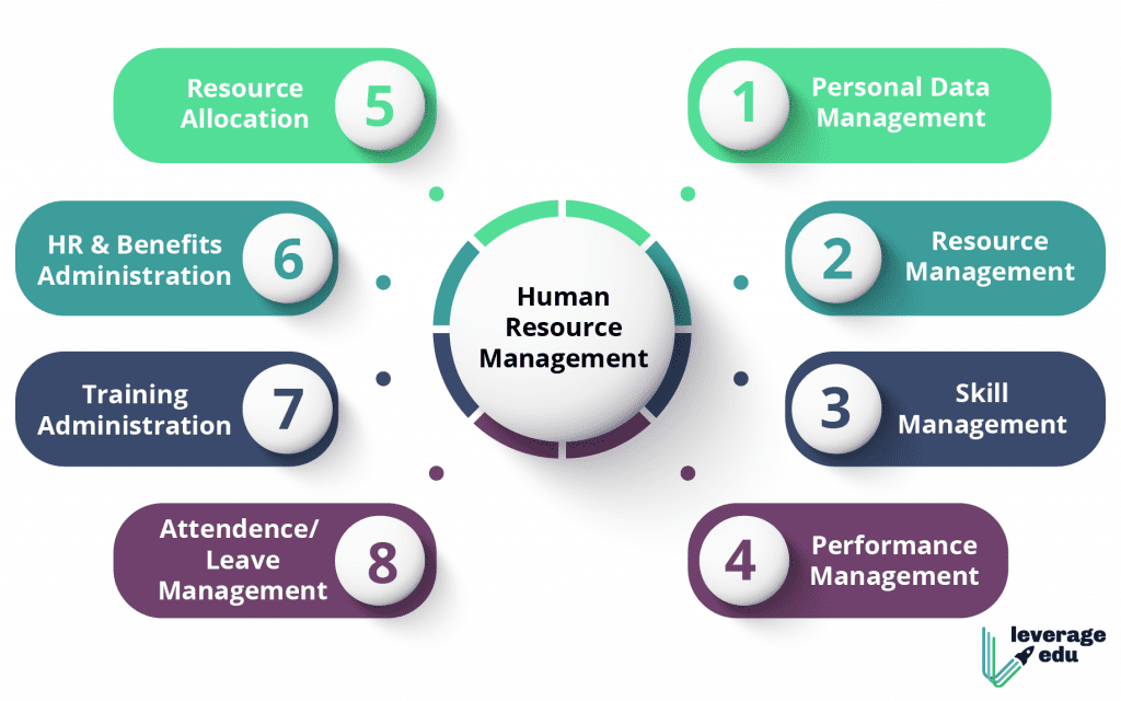 HR Professionals Roles and Responsibilities