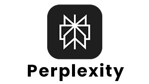 perplexity