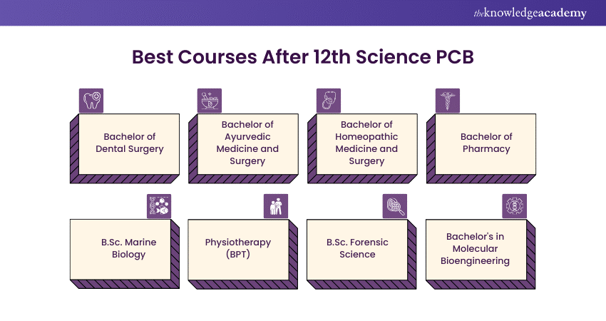 Best courses after 12th science PCB