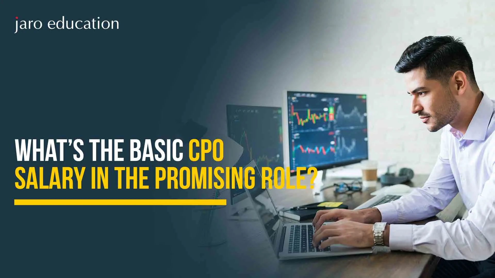 What’s the Basic CPO Salary in the Promising Role?