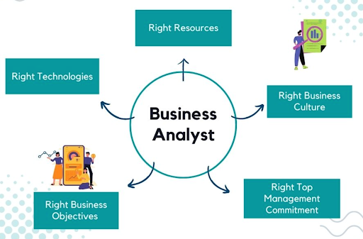 business Analyst