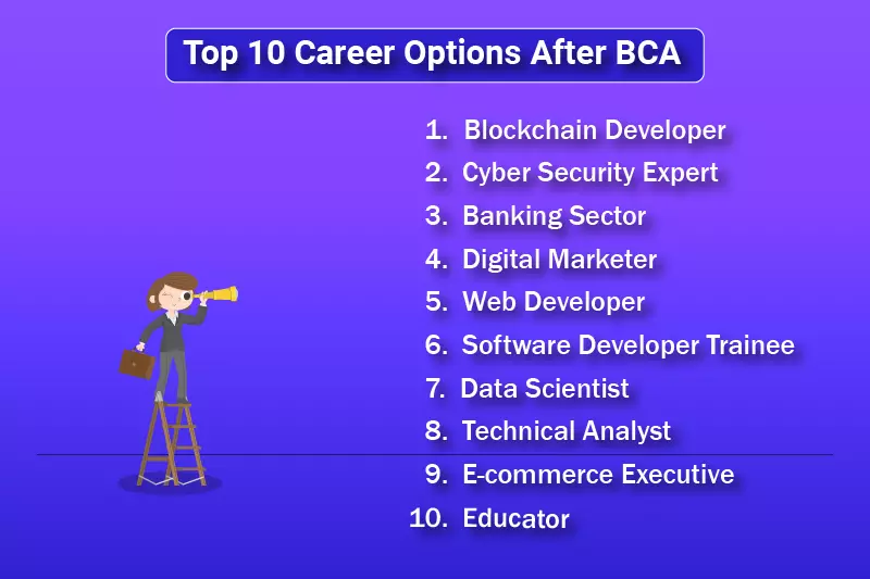 Online BCA Career Options