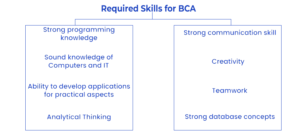 Key Skills for Online BCA