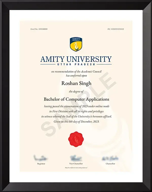 Amity University BCA Certificate