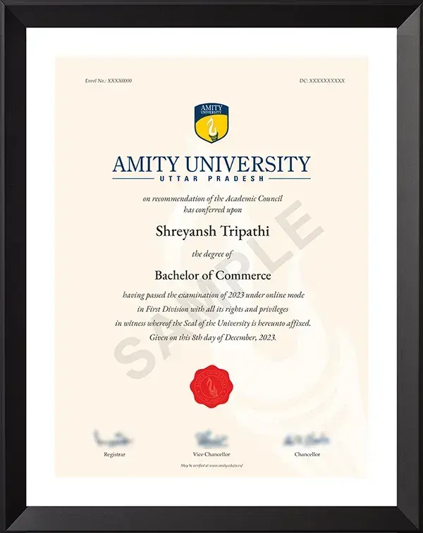 Amity University BCOM Ceritificate