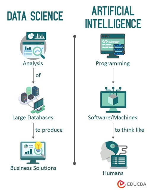 Data Science vs Artificial Intelligence – What you need to know