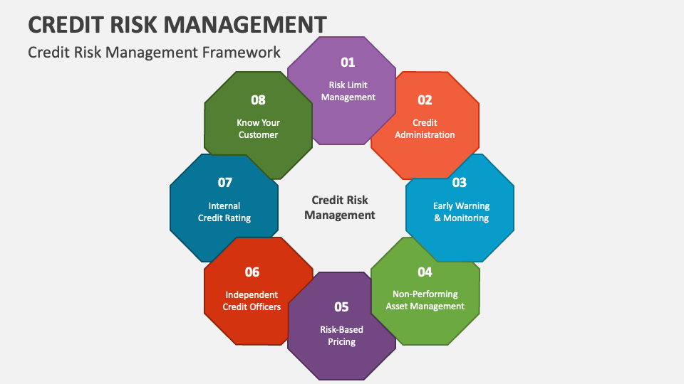 Credit Risk Manager Framework