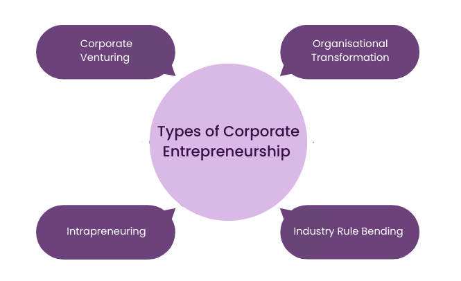 Types of Corporate Entrepreneurship