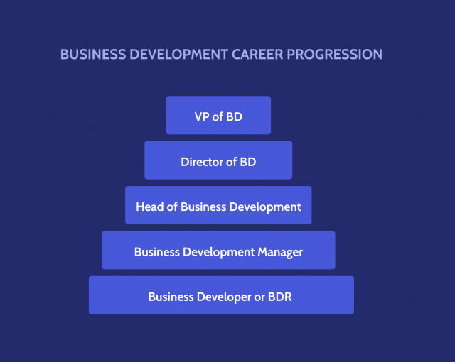 Business Development Executive Career Stages