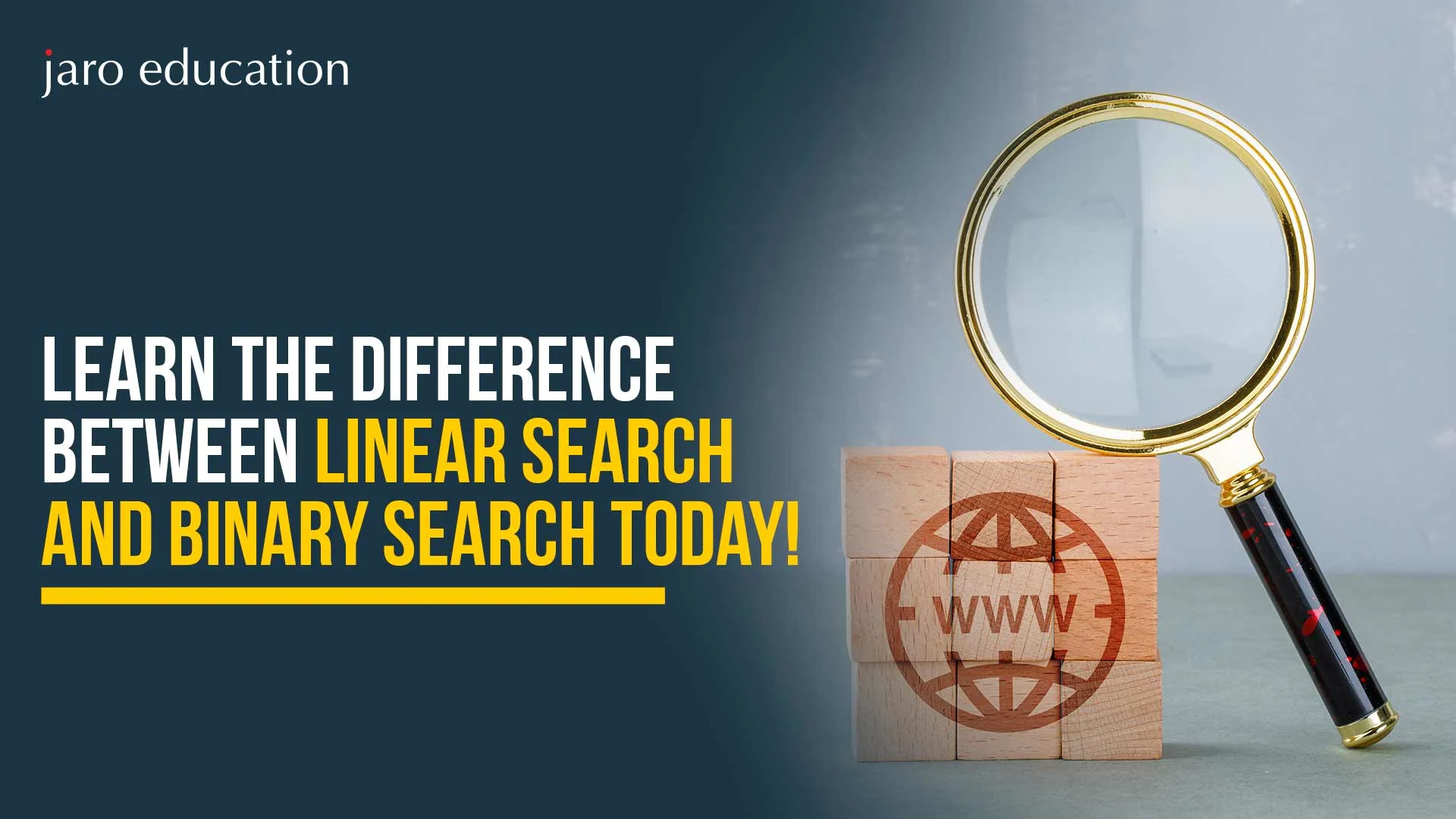 Learn-the-Difference-Between-Linear-Search-and-Binary-Search-Today