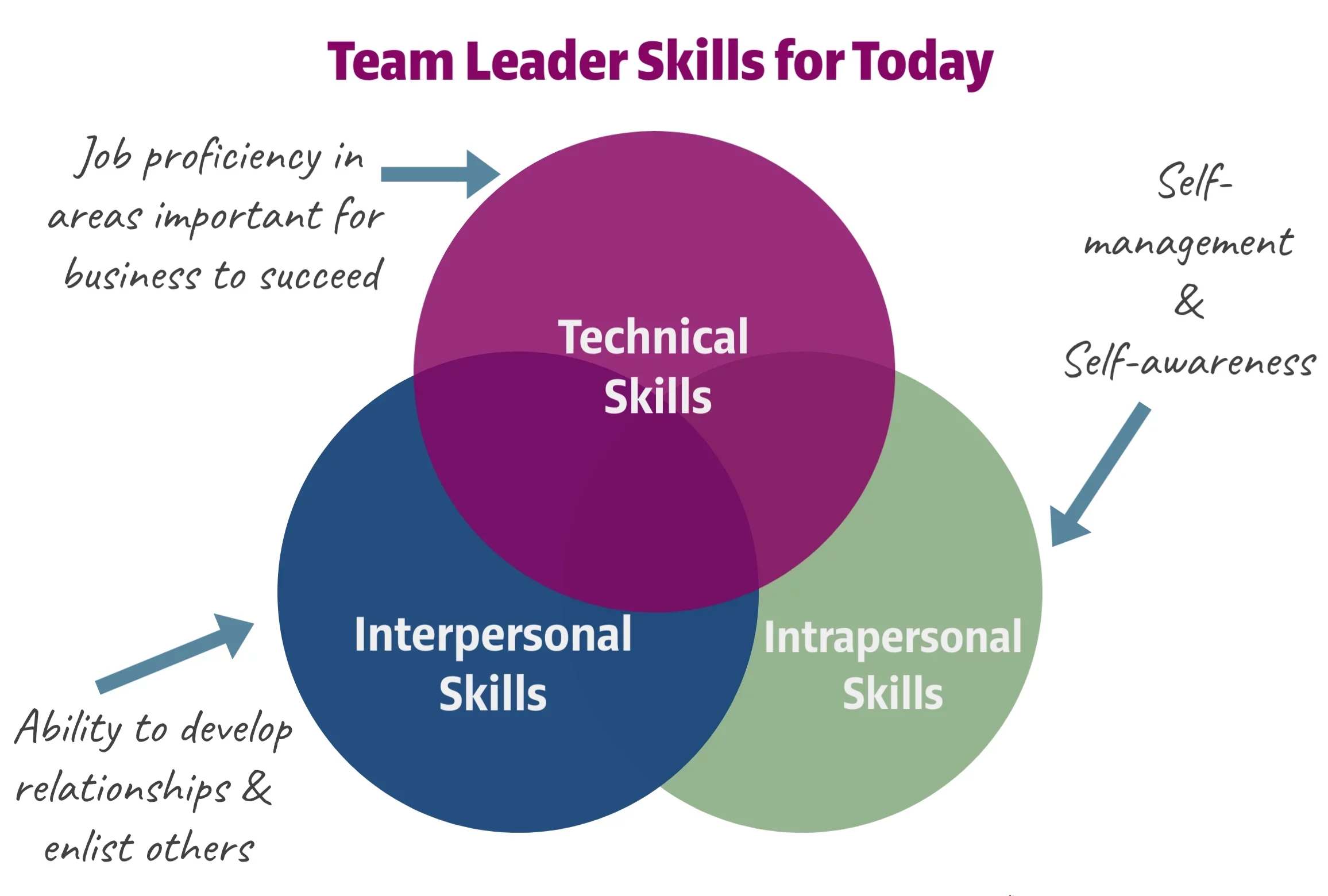 Team Leader Skills