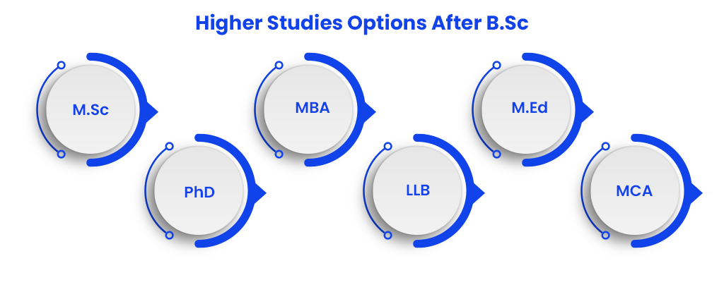 higher-studies-options-after-bsc