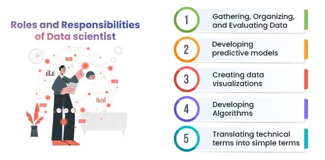 data scientists roles