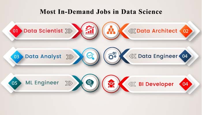 Data Science Career