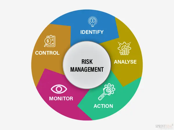 What is Risk Management?