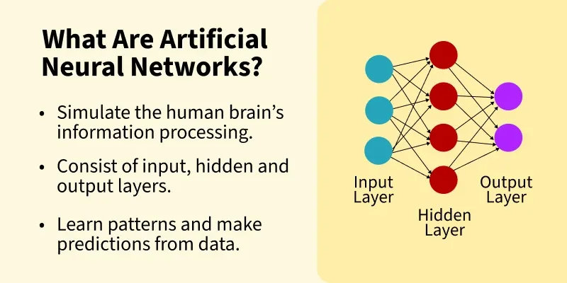 Understanding Artificial Neural Networks