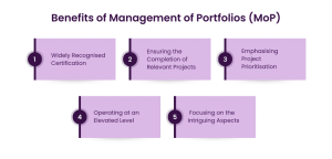 Advantages of Portfolio Management